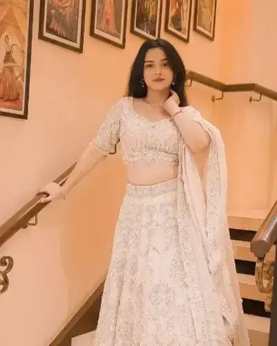 Escort Badnawar